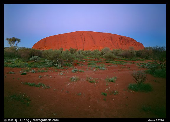 Ayers Rock at dawn. Australia (color)