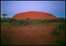 Ayers Rock at dawn. Uluru-Kata Tjuta National Park, Northern Territories, Australia