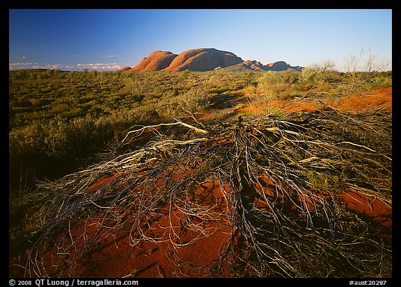 Olgas, late afternoon. Olgas, Uluru-Kata Tjuta National Park, Northern Territories, Australia (color)