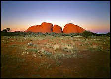 Olgas at sunset. Olgas, Uluru-Kata Tjuta National Park, Northern Territories, Australia (color)