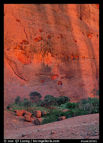 Rock wall, the Olgas. Olgas, Uluru-Kata Tjuta National Park, Northern Territories, Australia (color)