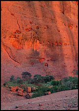 Rock wall, the Olgas. Olgas, Uluru-Kata Tjuta National Park, Northern Territories, Australia (color)