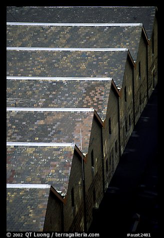 Colonial-era buildings of the Rocks. Sydney, New South Wales, Australia (color)