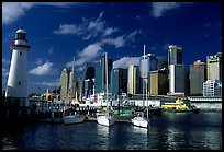 Darling harbour. Sydney, New South Wales, Australia