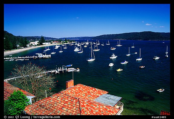 Yatchs anchored in the outskirts of the city. Sydney, New South Wales, Australia (color)