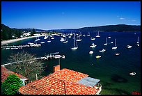Yatchs anchored in the outskirts of the city. Sydney, New South Wales, Australia (color)