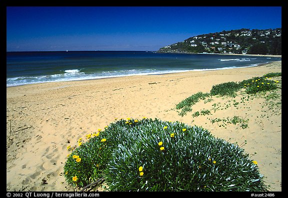 Beach north of the city. Sydney, New South Wales, Australia (color)