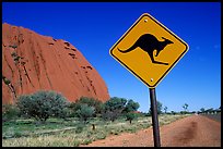 Kangaroo crossing sign near Ayers Rock. Australia