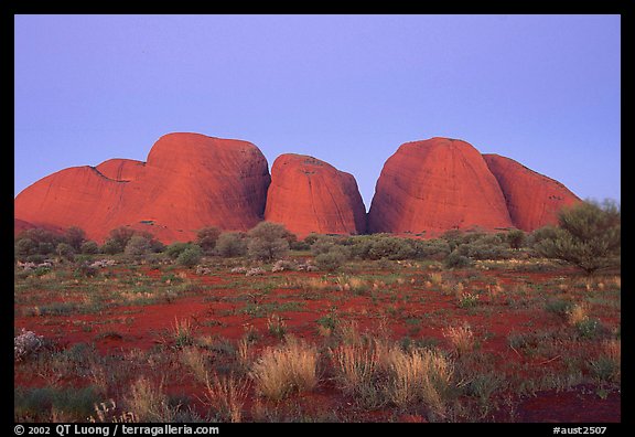 Olgas, dusk. Olgas, Uluru-Kata Tjuta National Park, Northern Territories, Australia