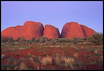 Olgas, dusk. Olgas, Uluru-Kata Tjuta National Park, Northern Territories, Australia ( color)