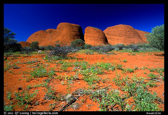 Olgas, mid-day. Olgas, Uluru-Kata Tjuta National Park, Northern Territories, Australia (color)