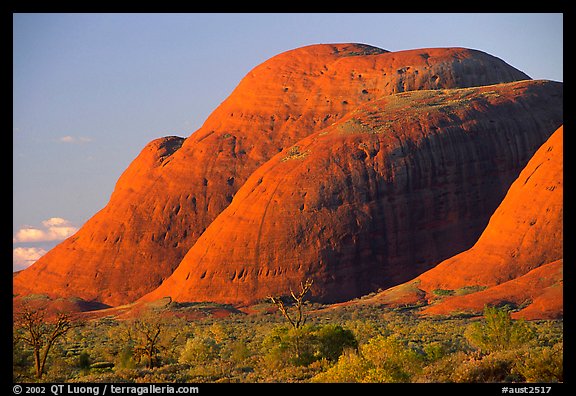 Olgas, sunset. Olgas, Uluru-Kata Tjuta National Park, Northern Territories, Australia (color)