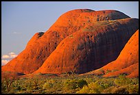 Olgas, sunset. Olgas, Uluru-Kata Tjuta National Park, Northern Territories, Australia ( color)