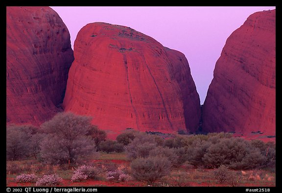 Olgas, dusk. Olgas, Uluru-Kata Tjuta National Park, Northern Territories, Australia (color)