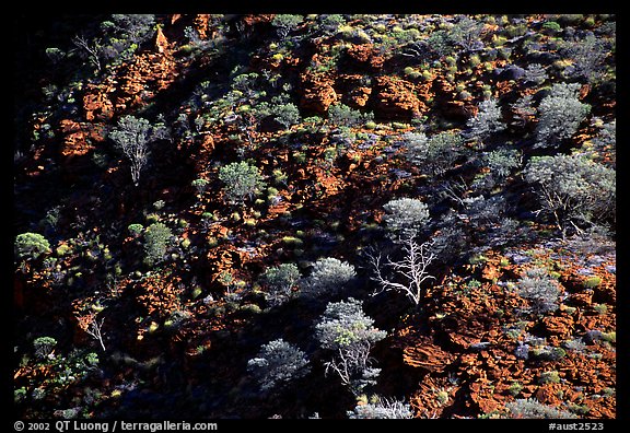 Kings Canyon slopes, Watarrka National Park. Northern Territories, Australia (color)
