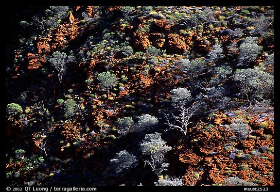 Kings Canyon slopes, Watarrka National Park. Northern Territories, Australia