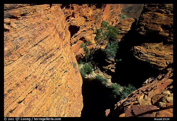 Kings Canyon walls,  Watarrka National Park. Northern Territories, Australia (color)