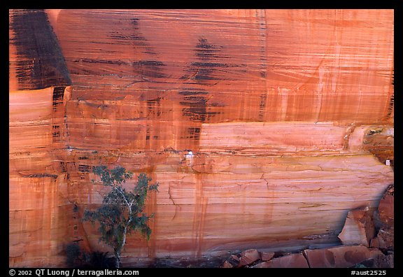 Rock wall striated with desert varnish in Kings Canyon,  Watarrka National Park. Northern Territories, Australia (color)