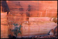 Rock wall striated with desert varnish in Kings Canyon,  Watarrka National Park. Northern Territories, Australia
