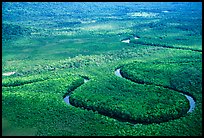 Aerial meandering river in rainforest near Cape Tribulation. Queensland, Australia ( color)