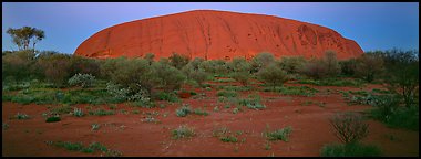 Ayers rock at twilight. Uluru-Kata Tjuta National Park, Northern Territories, Australia (Panoramic color)