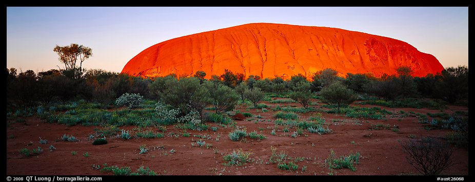 Ayers rock with sunrise glow. Uluru-Kata Tjuta National Park, Northern Territories, Australia