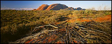 Australian outback, Olgas. Olgas, Uluru-Kata Tjuta National Park, Northern Territories, Australia (Panoramic color)