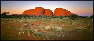 Olgas with sunset glow. Olgas, Uluru-Kata Tjuta National Park, Northern Territories, Australia (Panoramic color)