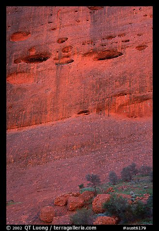 Detail of rock wall of the Olgas. Olgas, Uluru-Kata Tjuta National Park, Northern Territories, Australia (color)