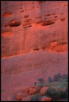 Detail of rock wall of the Olgas. Olgas, Uluru-Kata Tjuta National Park, Northern Territories, Australia ( color)