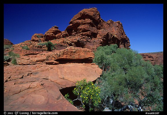 Rock formations in Kings Canyon,  Watarrka National Park. Northern Territories, Australia (color)