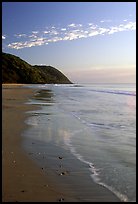 Beach near Cape Tribulation. Queensland, Australia