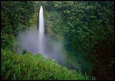 Akaka Falls. Hawaii, USA ( color)