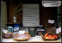 Self-serve local produce stand. Big Island, Hawaii, USA