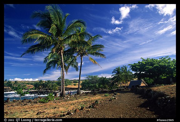 Lapakahi historical park. Big Island, Hawaii, USA (color)