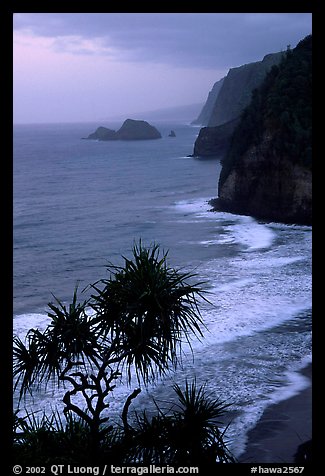 Untamed coast of the North shore from Polulu Valley overlook, dusk. Big Island, Hawaii, USA (color)