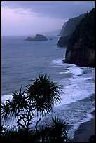 Untamed coast of the North shore from Polulu Valley overlook, dusk. Big Island, Hawaii, USA ( color)