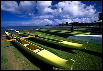 Traditional outtrigger canoes in Hilo. Big Island, Hawaii, USA (color)