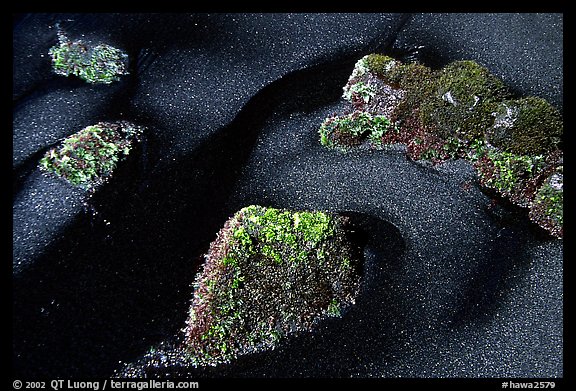 Picture/Photo: Black sand and mossy rocks, Punaluu Beach ...