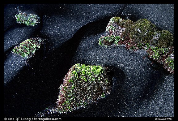 Black sand and mossy rocks, Punaluu Beach. Big Island, Hawaii, USA (color)