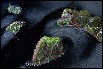 Black sand and mossy rocks, Punaluu Beach. Big Island, Hawaii, USA ( color)