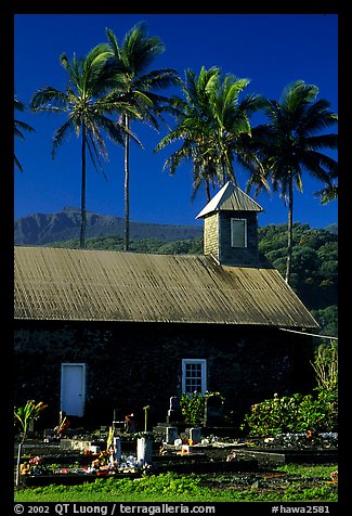 Church (1860) and palm trees, Keanae Peninsula. Maui, Hawaii, USA (color)