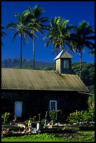 Church (1860) and palm trees, Keanae Peninsula. Maui, Hawaii, USA ( color)