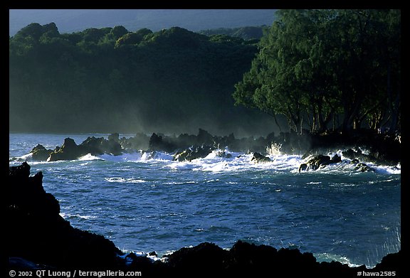 Crashing surf, Keanae Peninsula. Maui, Hawaii, USA (color)