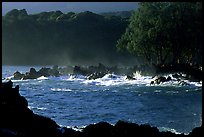 Crashing surf, Keanae Peninsula. Maui, Hawaii, USA ( color)