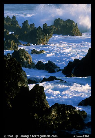 Sharp volcanic Rocks and surf, Keanae Peninsula. Maui, Hawaii, USA
