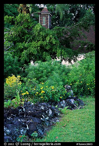 Graveyard of the Palapala Hoomau church in Kipahulu. Maui, Hawaii, USA (color)