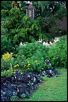 Graveyard of the Palapala Hoomau church in Kipahulu. Maui, Hawaii, USA (color)