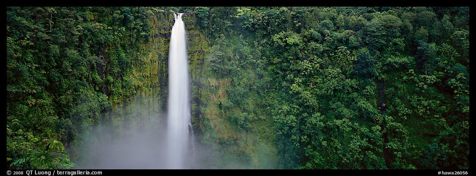 Tropical waterfall. Akaka Falls State Park, Big Island, Hawaii, USA (color)