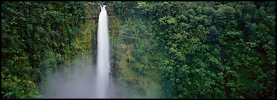 Tropical waterfall. Akaka Falls State Park, Big Island, Hawaii, USA (Panoramic color)